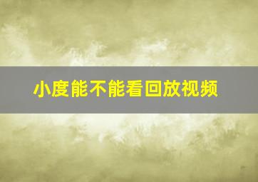 小度能不能看回放视频