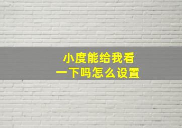 小度能给我看一下吗怎么设置