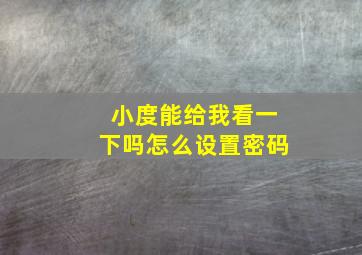 小度能给我看一下吗怎么设置密码