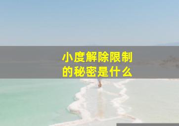 小度解除限制的秘密是什么