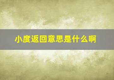 小度返回意思是什么啊