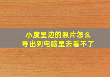 小度里边的照片怎么导出到电脑里去看不了