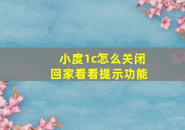 小度1c怎么关闭回家看看提示功能