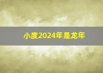 小度2024年是龙年