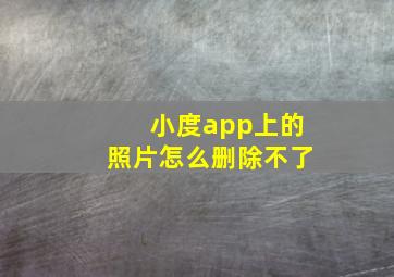 小度app上的照片怎么删除不了