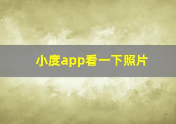 小度app看一下照片