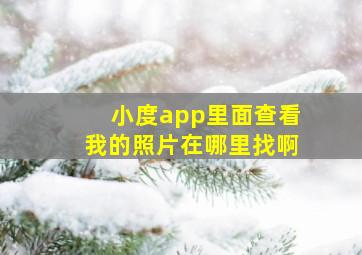 小度app里面查看我的照片在哪里找啊