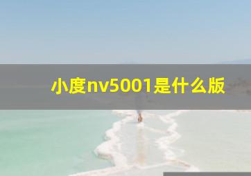 小度nv5001是什么版