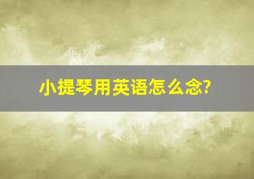 小提琴用英语怎么念?