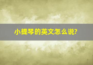 小提琴的英文怎么说?