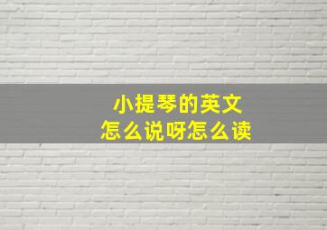 小提琴的英文怎么说呀怎么读