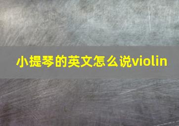 小提琴的英文怎么说violin