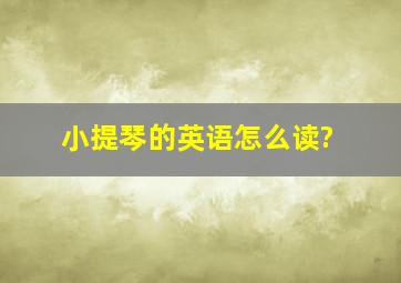 小提琴的英语怎么读?