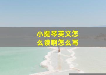 小提琴英文怎么读啊怎么写