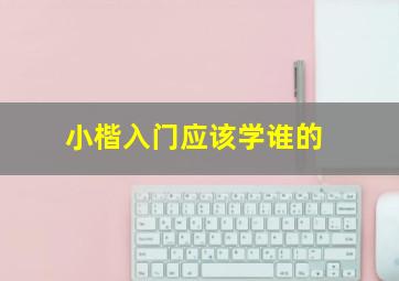 小楷入门应该学谁的