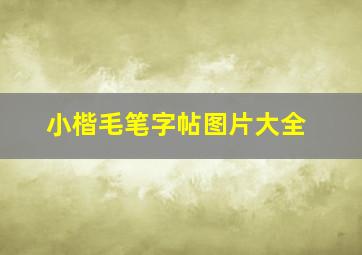 小楷毛笔字帖图片大全