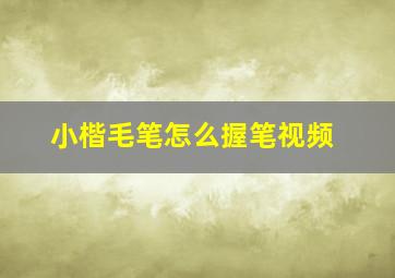 小楷毛笔怎么握笔视频