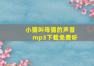 小猫叫母猫的声音mp3下载免费听