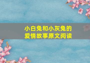 小白兔和小灰兔的爱情故事原文阅读