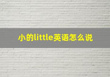 小的little英语怎么说