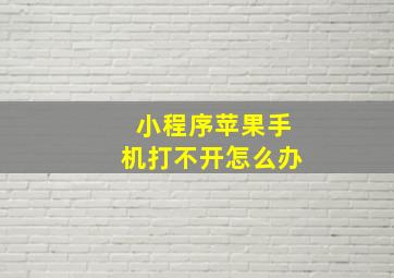 小程序苹果手机打不开怎么办