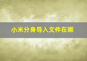 小米分身导入文件在哪