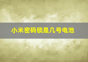 小米密码锁是几号电池