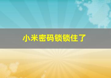 小米密码锁锁住了