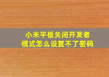 小米平板关闭开发者模式怎么设置不了密码