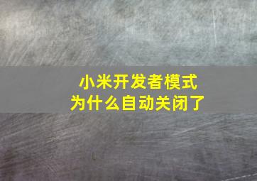 小米开发者模式为什么自动关闭了