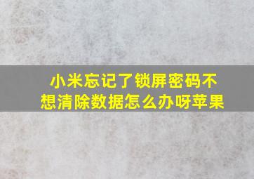 小米忘记了锁屏密码不想清除数据怎么办呀苹果