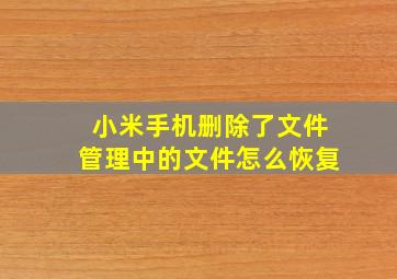 小米手机删除了文件管理中的文件怎么恢复