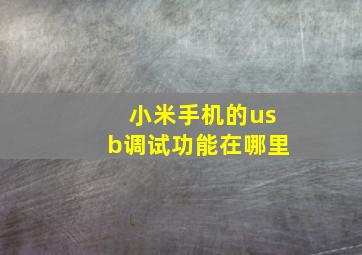 小米手机的usb调试功能在哪里