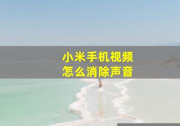 小米手机视频怎么消除声音