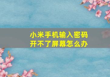 小米手机输入密码开不了屏幕怎么办