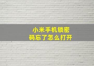 小米手机锁密码忘了怎么打开