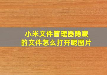 小米文件管理器隐藏的文件怎么打开呢图片