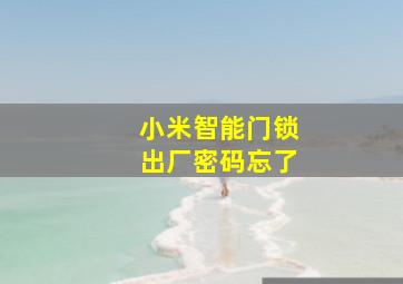 小米智能门锁出厂密码忘了