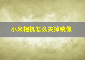 小米相机怎么关掉镜像