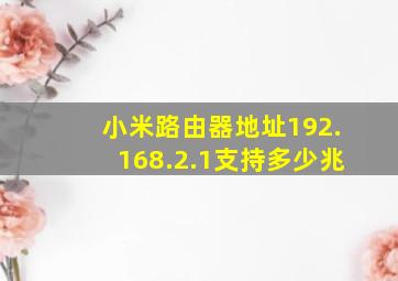 小米路由器地址192.168.2.1支持多少兆