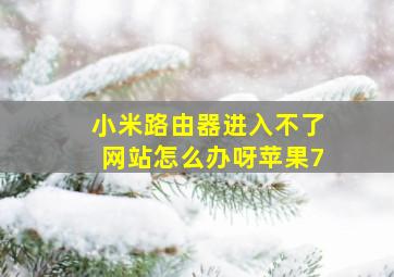 小米路由器进入不了网站怎么办呀苹果7