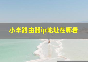 小米路由器ip地址在哪看