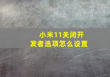 小米11关闭开发者选项怎么设置