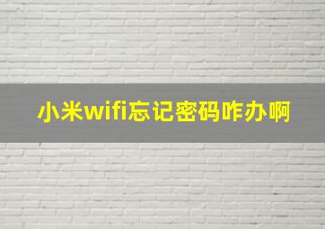 小米wifi忘记密码咋办啊