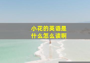 小花的英语是什么怎么读啊