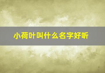 小荷叶叫什么名字好听