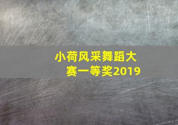 小荷风采舞蹈大赛一等奖2019