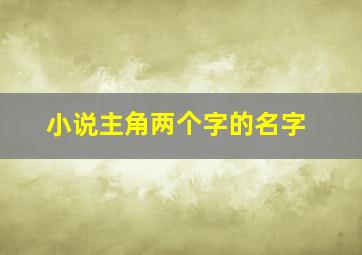 小说主角两个字的名字