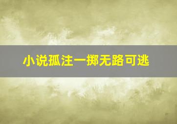 小说孤注一掷无路可逃