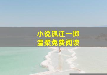 小说孤注一掷温柔免费阅读